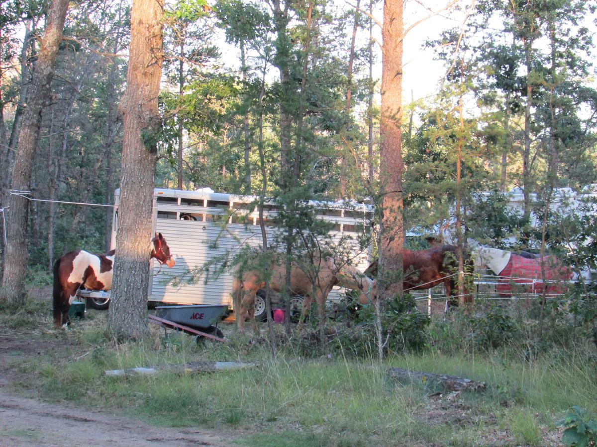 Irons Best Bear Lodge & Campground מראה חיצוני תמונה