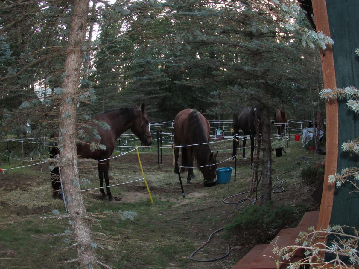 Irons Best Bear Lodge & Campground מראה חיצוני תמונה